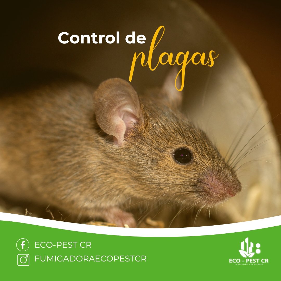 ECO PEST CR Control de PLAGAS